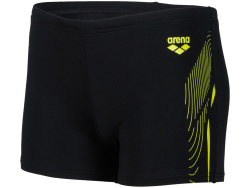 Arena B Swim Short Graphic black-softgreen